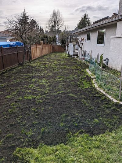 Top dressing my lawn