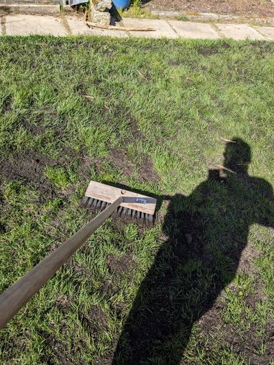 Top dressing my lawn
