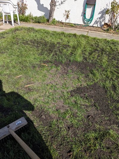 Top dressing my lawn